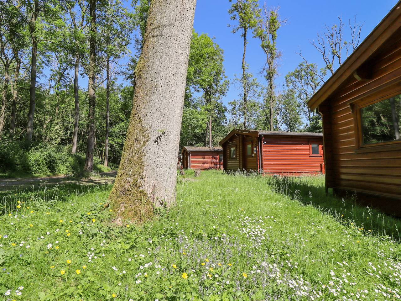 64 Acorn Lodge Kenwick Park in Tathwell, Lincolnshire