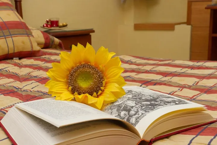 Guesthouse for 2 people, with terrace - 1