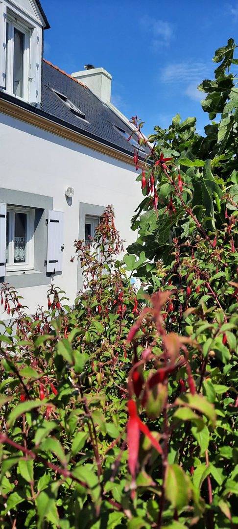 Gîte pour 5 personnes, avec terrasse et jardin à Groix - 3
