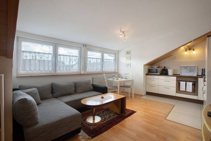Ganze Wohnung, Ferienwohnung 'Thelen' mit Dachterrasse in Bad Säckingen, Südschwarzwald