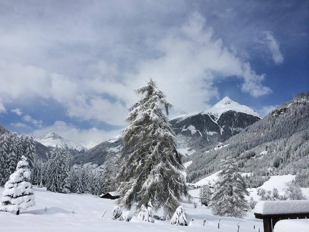 Zimmer für 2 Personen mit Garten in Sankt Jakob in Defereggen, Osttirol