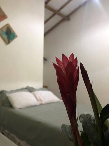 Maison d’hôte pour 2 personnes, avec balcon à Trancoso