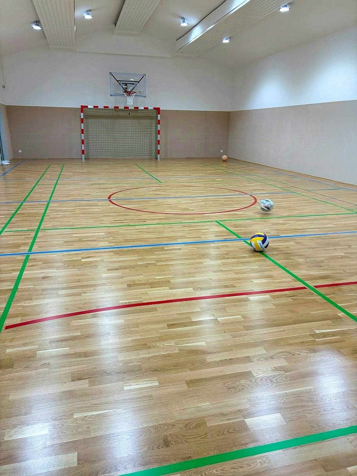 Old farmhouse with its own sports hall in Rodewald, Aller-Leine Valley