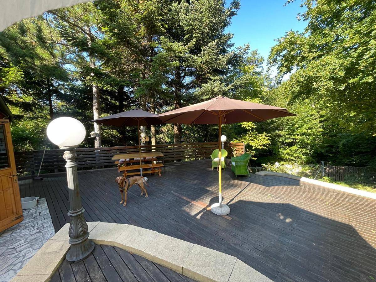 Chalet Leonard House in the Woods in Pennabilli, Province de Rimini