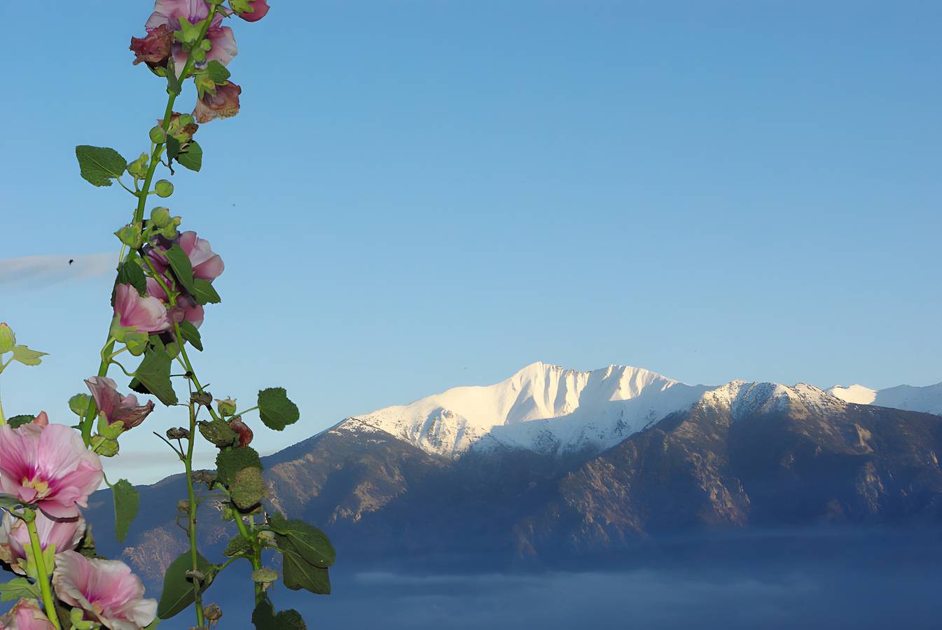 Gîte madres coronat balcon du canigou in Jujols, Parc naturel régional des Pyrénées catalanes