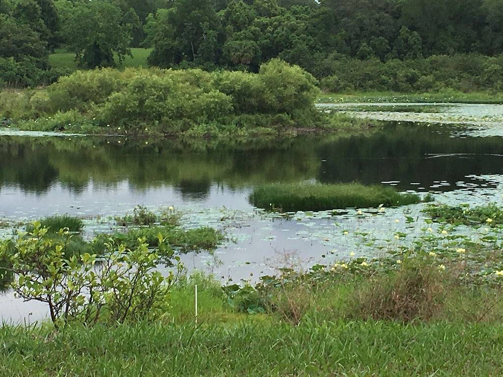 Hanger-Ruhig und friedlich und doch zu Fuß zum Charming Downtown Mt. Dora in Mount Dora, Lake County
