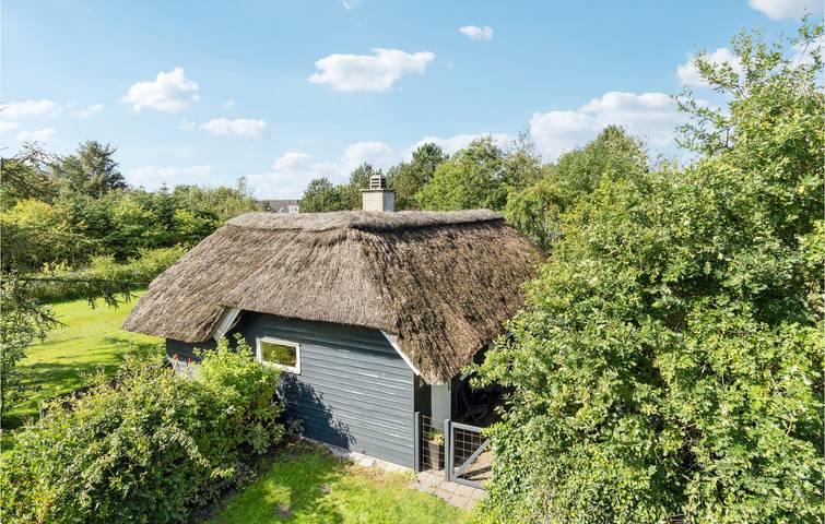 Chalet für 6 Personen, mit Terrasse und Garten, mit Haustier in Dänemark - 4