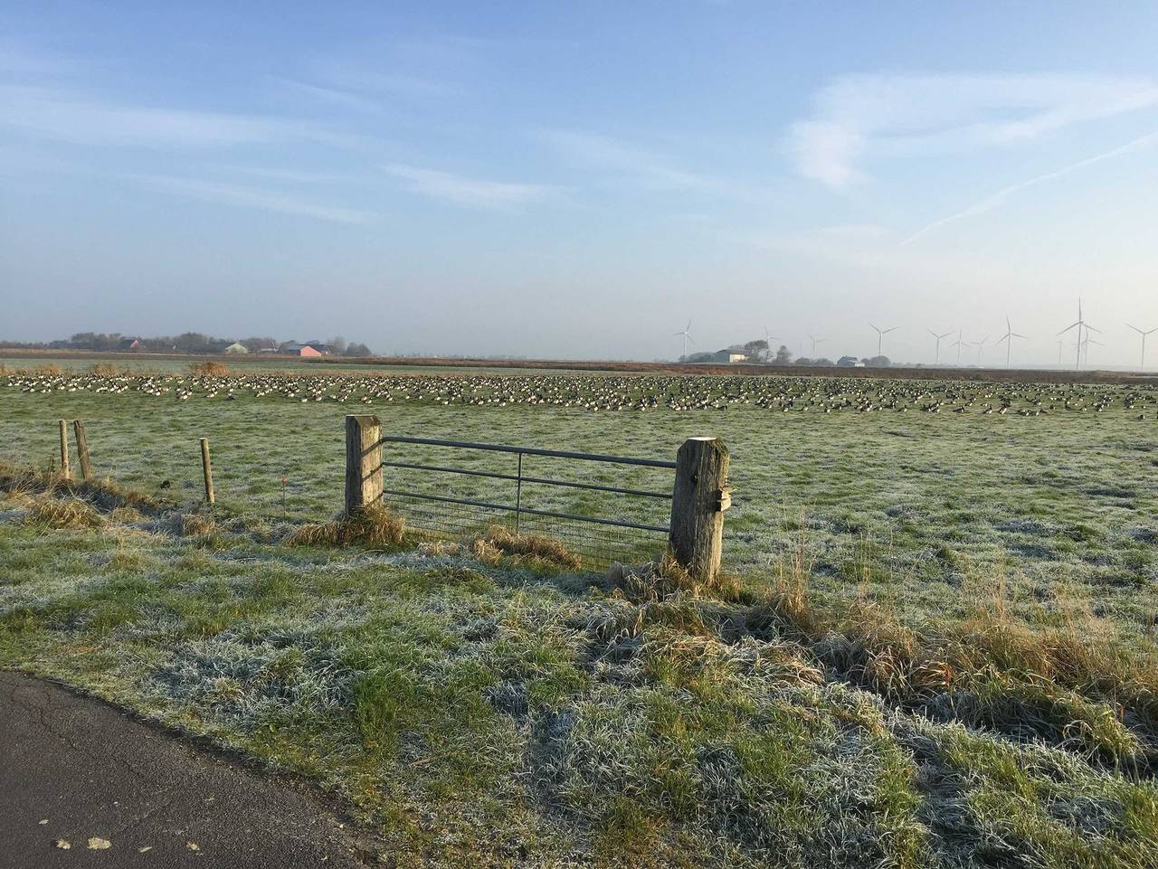 Ganze Ferienwohnung, Ferienhaus Große Gaarde - Ferienwohnung Austernfischer in Ockholm, Nordfriesland