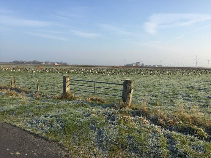 Ferienwohnung für 2 Personen, mit Ausblick und Garten, kinderfreundlich in Mittleres Nordfriesland - 2