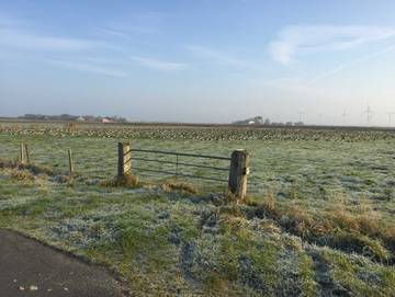 Ferienwohnung für 4 Personen in Ockholm, Nordfriesland, Bild 1