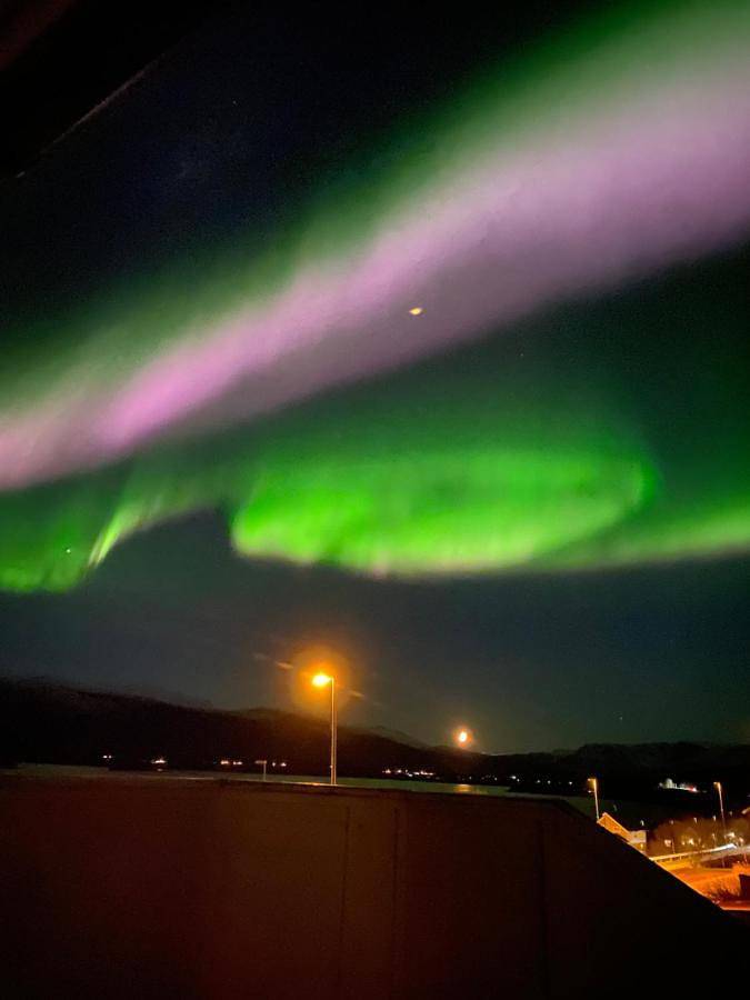 Ferienwohnung für 4 Personen, mit Seeblick und Ausblick sowie Garten in Lyngen - 4