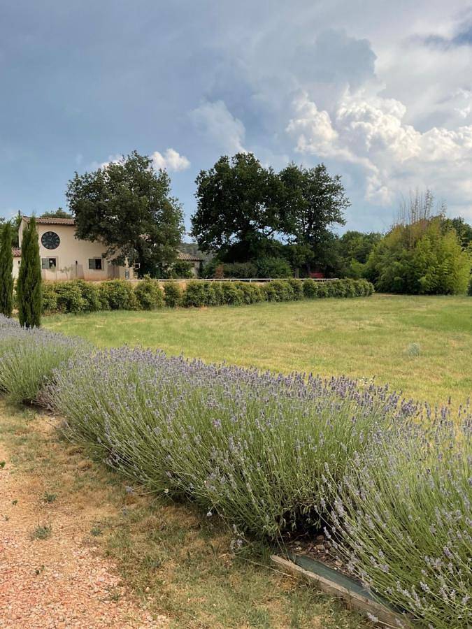 Location de vacances pour 3 personnes, avec piscine ainsi que vue et jardin à Tavernes - 4