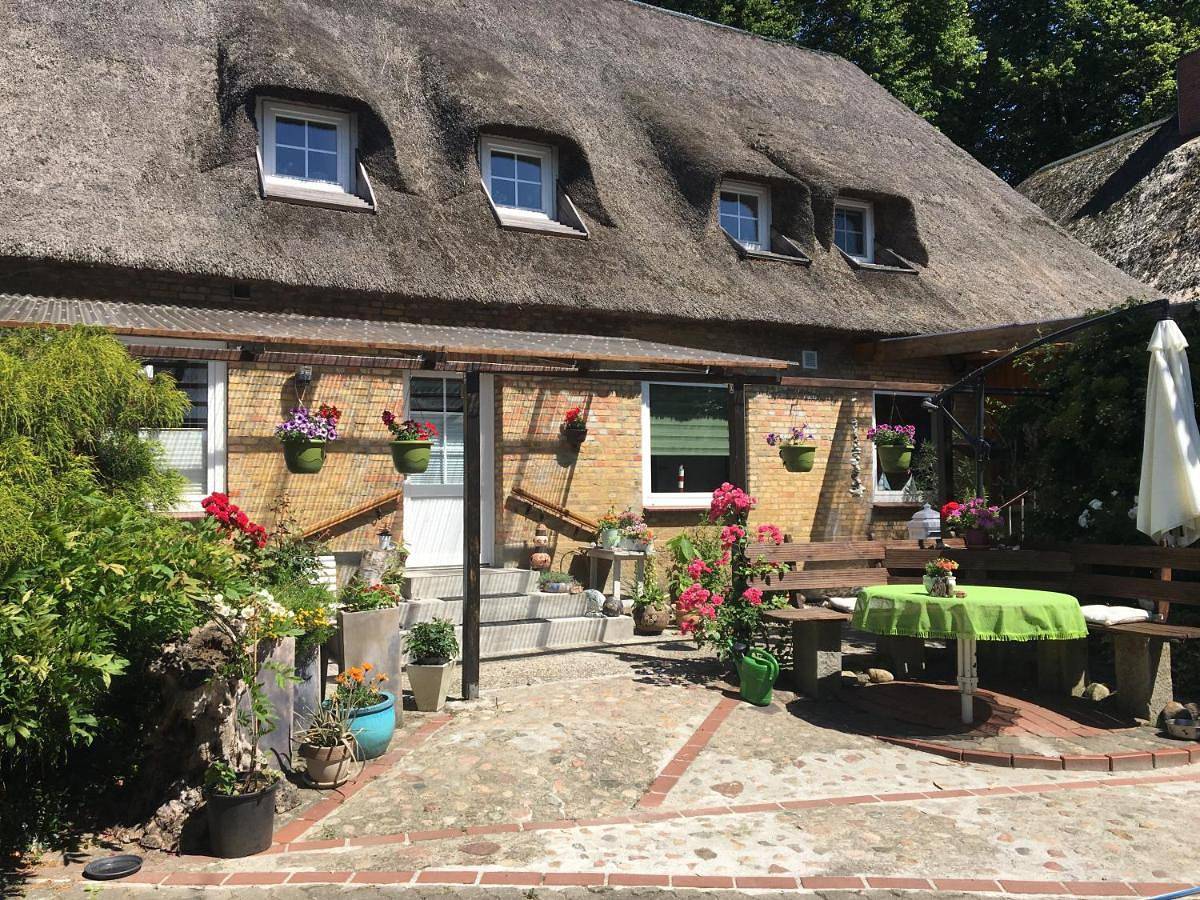 Ganze Wohnung, Kreatives Wohnen unter Reet ruhig und doch zentral in Schwabstedt, Eider-Treene-Sorge