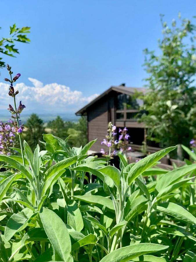 Koza U Woza - drewniany dom premium z widokiem na Tatry ecospa strefa fitness Zielona Farma healinggarden - slowtravel 24h self check-in in Karpaty (Polska)