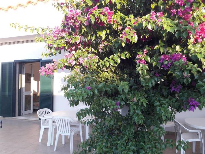 Location de vacances pour 5 personnes, avec jardin et vue, animaux acceptés à Torre Chianca - 3