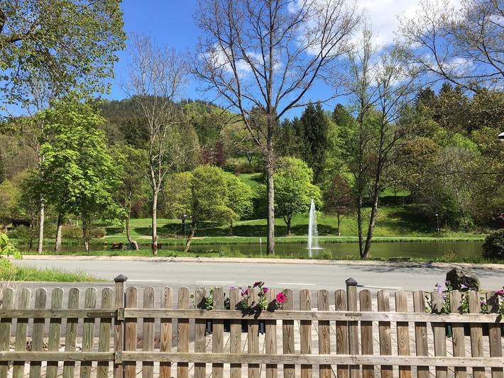 Ferienhaus für 4 Personen, mit Terrasse und Seeblick, mit Haustier im Sauerland - 2