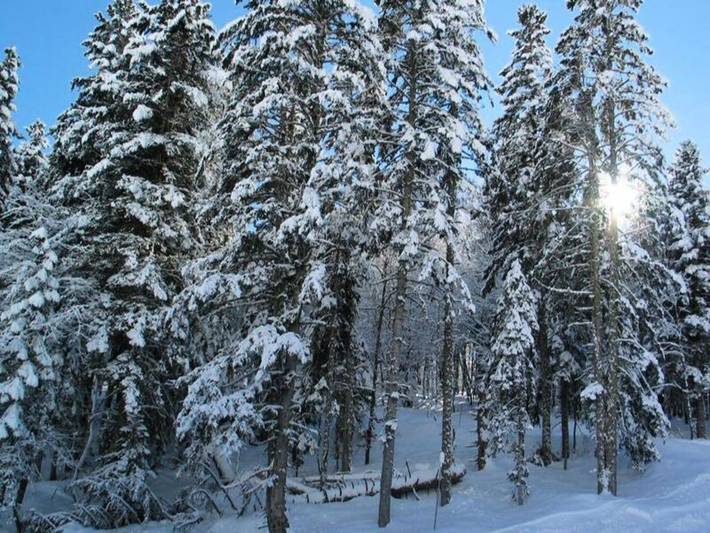 Gîte pour 5 personnes, adapté aux familles dans Office De Tourisme De Bareges - 4