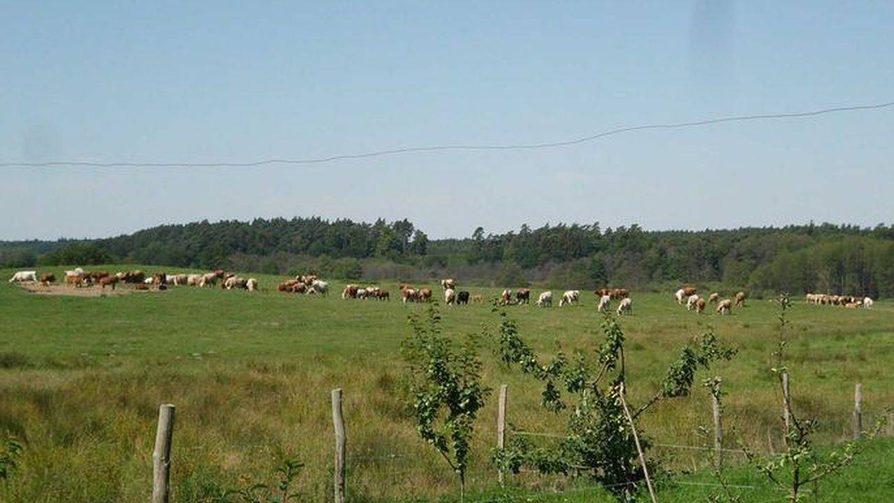 Ganze Ferienwohnung, Ferienwohnung für 4 Personen (43 m²) in Demmin in Demmin, Mecklenburgische Seenplatte