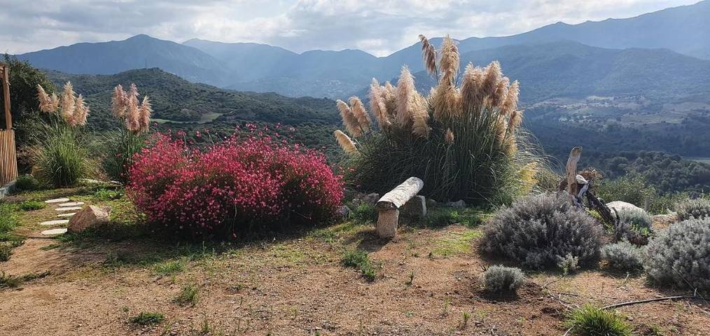 Gîte pour 2 personnes, avec terrasse et vue à Sant'Andréa-d'Orcino - 4