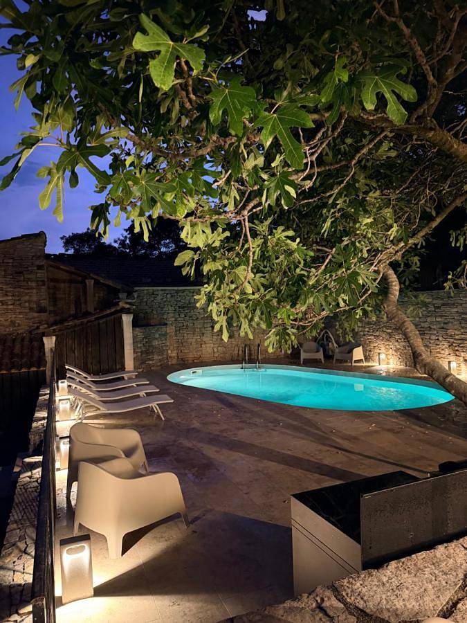 Location de vacances pour 9 personnes, avec Terrasse et Jardin ainsi que Piscine et Vue à Revest-Saint-Martin
