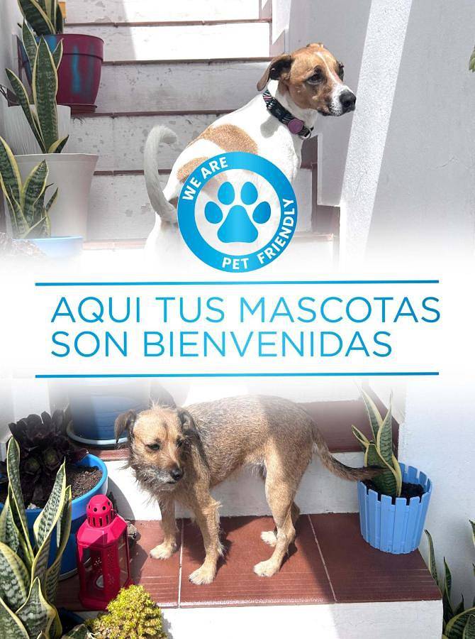 Maison d’hôte pour 2 personnes, avec terrasse, animaux acceptés à Arrecife - 2