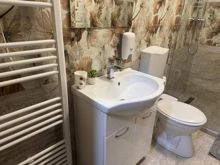 Maison d’hôte pour 2 personnes, avec vue et jardin à Sibiu - 4