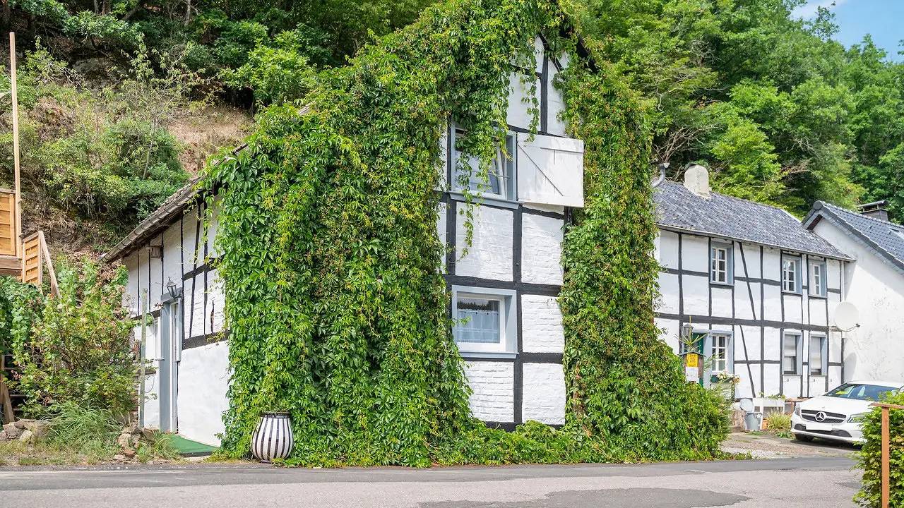 Ferienhaus für 4 Personen (100 m²) in Schleiden in Schleiden, Rureifel (Nordrhein-westfalen)