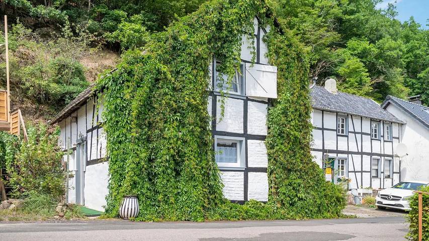 Ferienhaus für 5 Personen, mit Balkon und Garten in Schleiden - 2