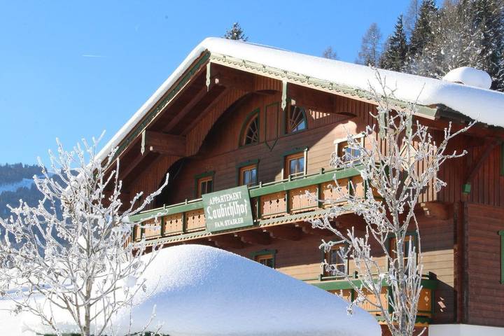 Ganze Ferienwohnung, Fewo A (2-4 Personen/1 Sz, 1 Wsr) in Flachau, Ski Amadé