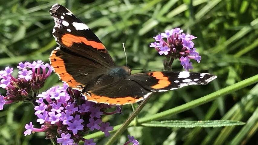 Ferienhaus für 6 Personen in Jade - 3