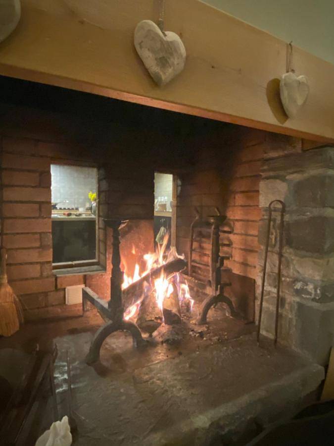 Gîte pour 10 personnes, avec jardin et vue à Guchan - 4