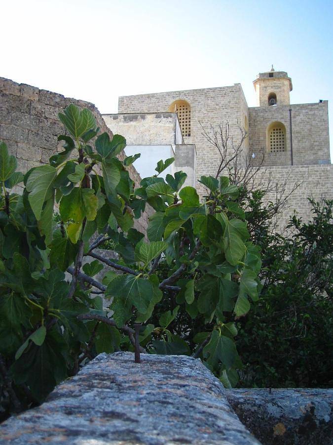 Gîte pour 2 personnes, avec terrasse et vue à Ugento - 4