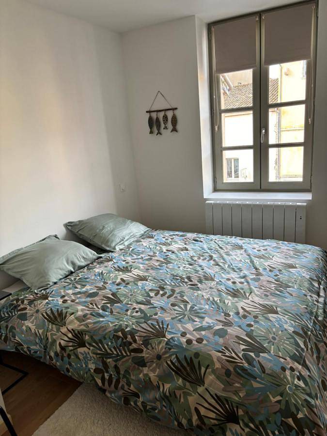 Appartement de vacances entier, Double Room with Private Bathroom in Tournus, Région de Mâcon