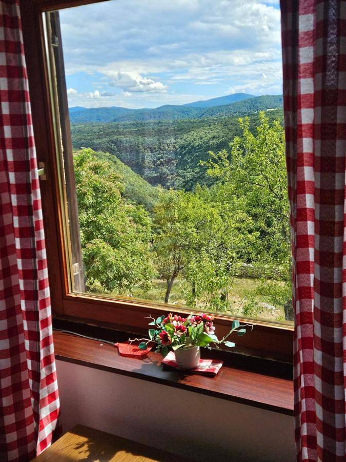 Gîte pour 4 personnes, avec jardin ainsi que vue sur le lac et vue, adapté aux familles dans Poljanak - 4
