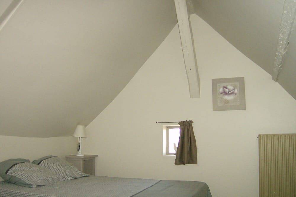 Pretty typical and old house in very good condition in the center and quiet in Amboise, Tours region