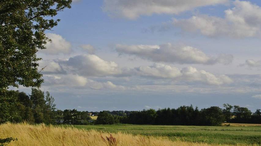 Ferienhaus für 6 Personen, mit Garten in Hejlsminde - 4