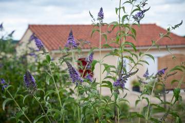 Gîte pour 4 personnes, avec terrasse et jardin à Fossemagne