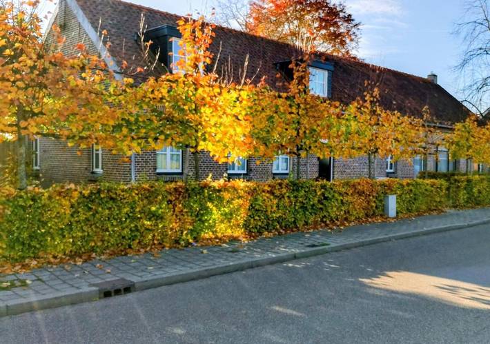 Vakantiehuis voor 4 personen, with Terras and Tuin as well as Uitzicht in Stramproy