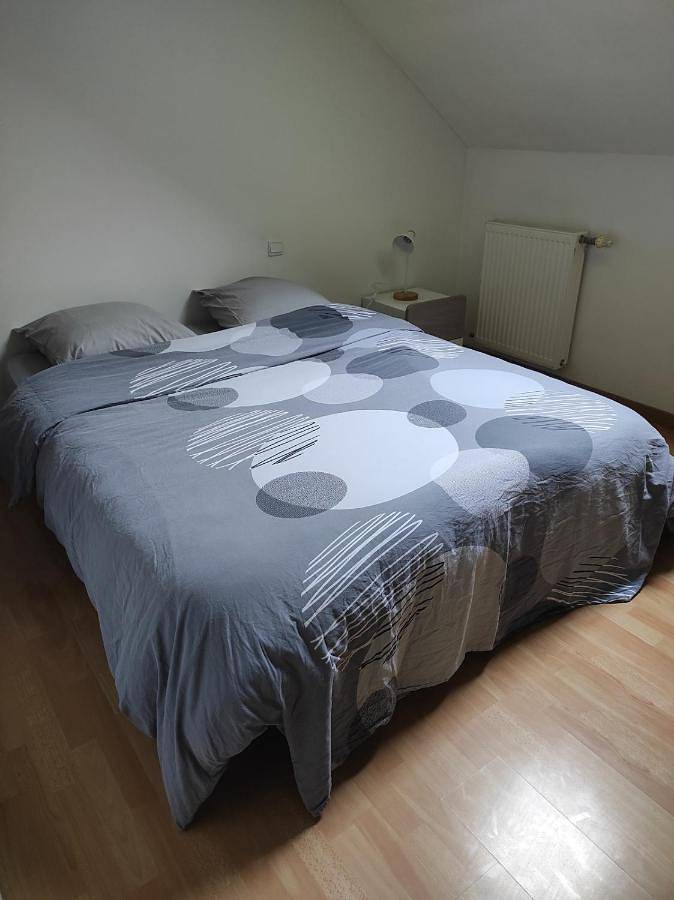 Gîte pour 4 personnes, avec terrasse, animaux acceptés dans Rolampont - 4