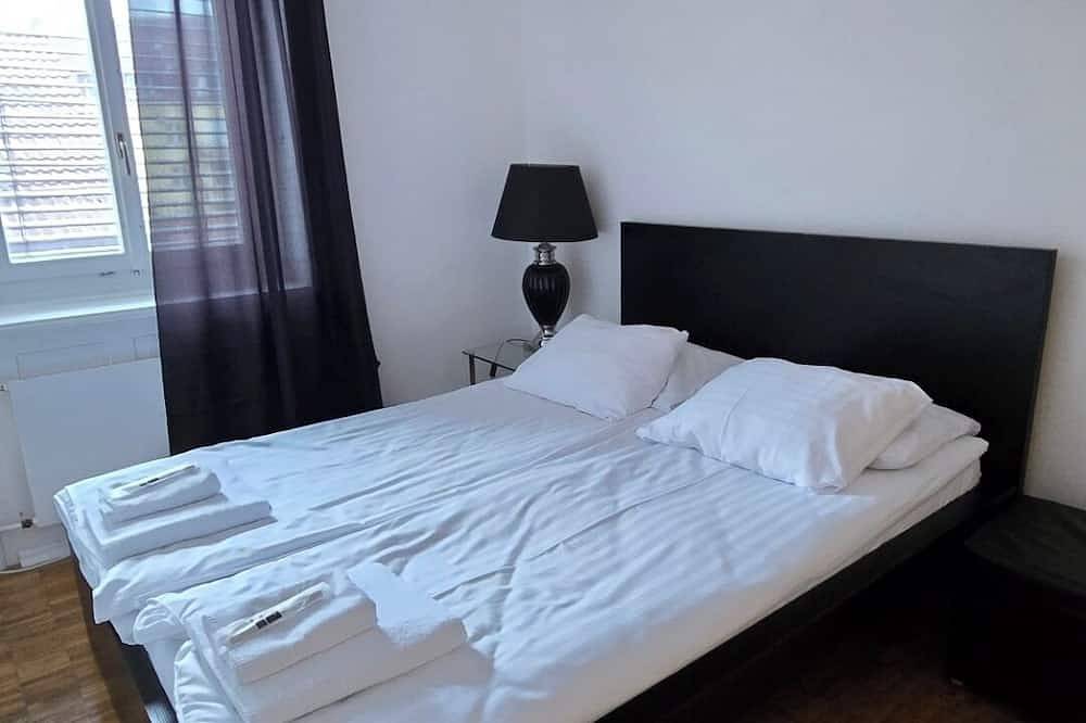 Entire apartment, Charming 2-bedroom apartment in vibrant Zürich with Wifi in Zurich, Zurich district