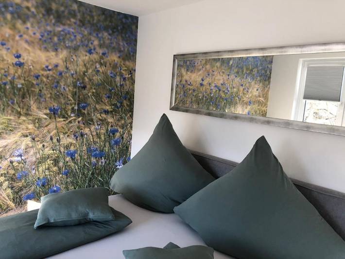 Gîte pour 3 personnes, avec terrasse et vue à Darmstadt - 2