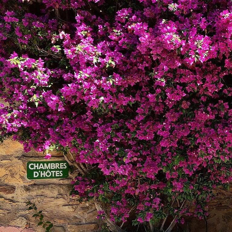 Mas Peu Del Causse - Thuir - Chambre La Tourelle in Sainte-Colombe-de-la-Commanderie, Région de Perpignan