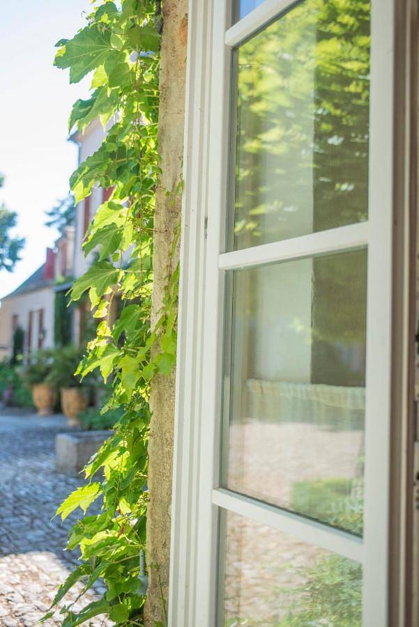 Hôtel pour 5 personnes, avec terrasse et vue à Montagny-lès-Beaune - 3