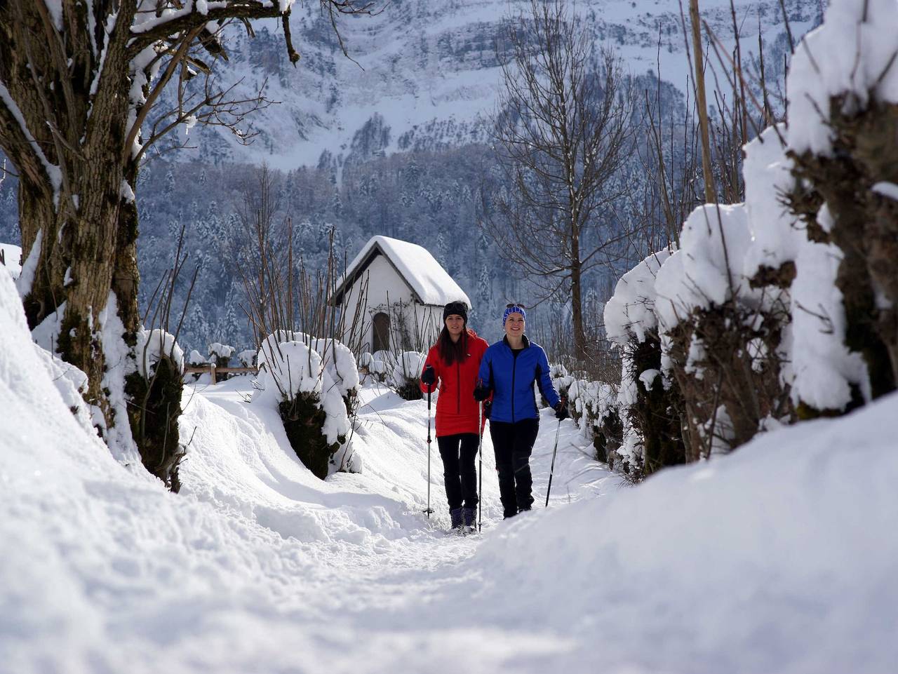 Ganze Ferienwohnung, Apartment Isabella und Elisabeth - Apartment 110m² in Bezau, Bregenzerwald