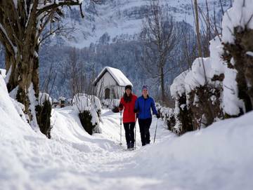 Ferienwohnung für 7 Personen in Bezau, Bregenzerwald, Bild 4