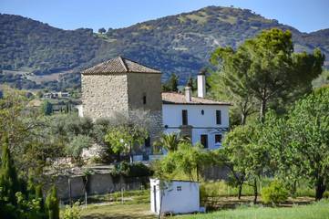 Casa de vacaciones para 12 personas, con vistas además de piscina y jardín, Se admiten mascotas en Serranía de Ronda