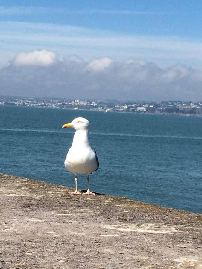 Deluxe Double Room with Shower in Preston (Devon), Paignton