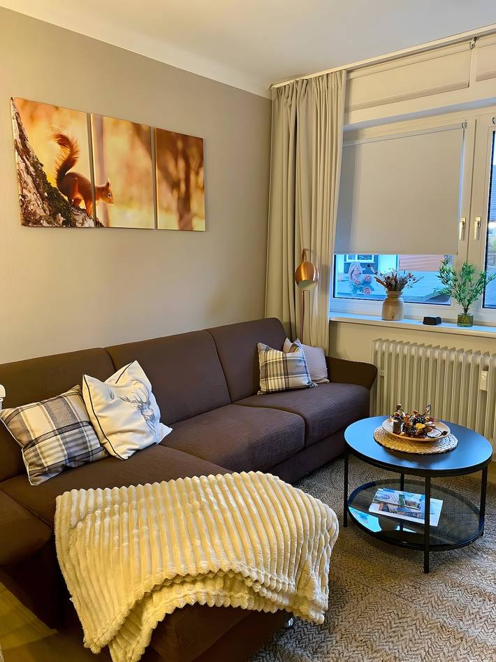 Hel lejlighed, Apartment 'Ferienwohnung Harzhörnchen' with Balcony and Wi-Fi in Braunlage, Harzvorland