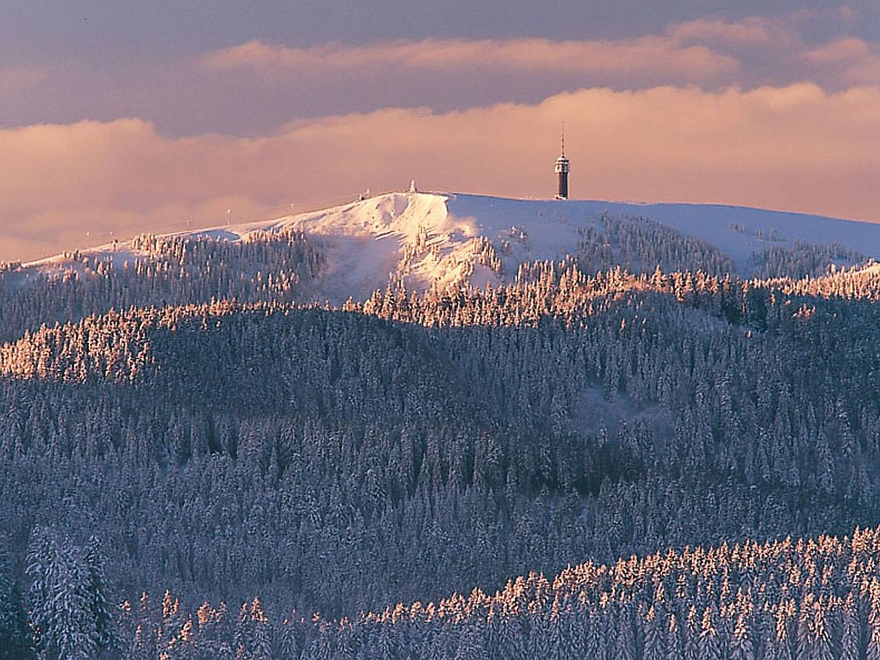 Hotel Adler Bärental - Doppelzimmer Standard in Feldberg, Forêt-Noire du Sud