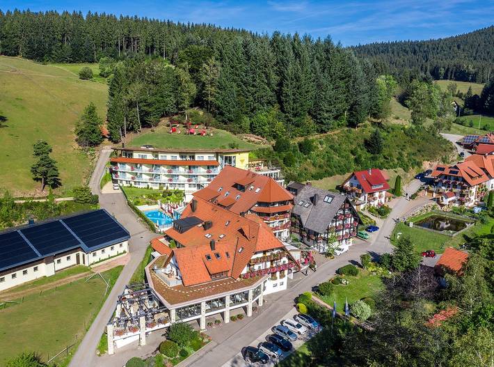 Hotel für 3 Personen, mit Balkon/Terrasse und Whirlpool sowie Terrasse und Garten in Wolfach